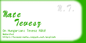 mate tevesz business card